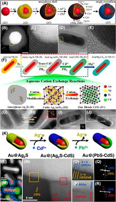 Interfacial regulation of aqueous synthesized metal-semiconductor hetero-nanocrystals